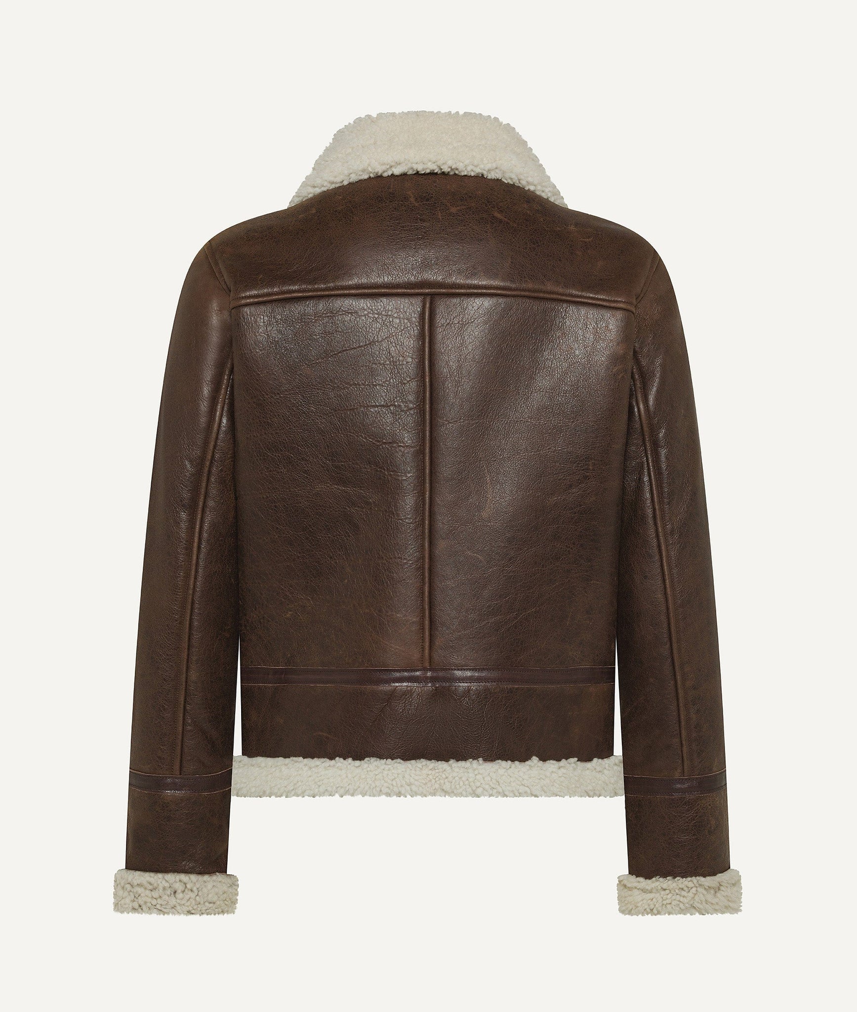 Aviator Jacket in Suede