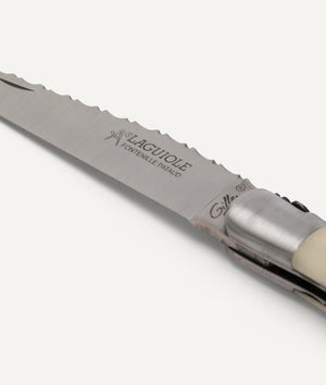 Knife with Cow Bone Handle in Stainless Steel