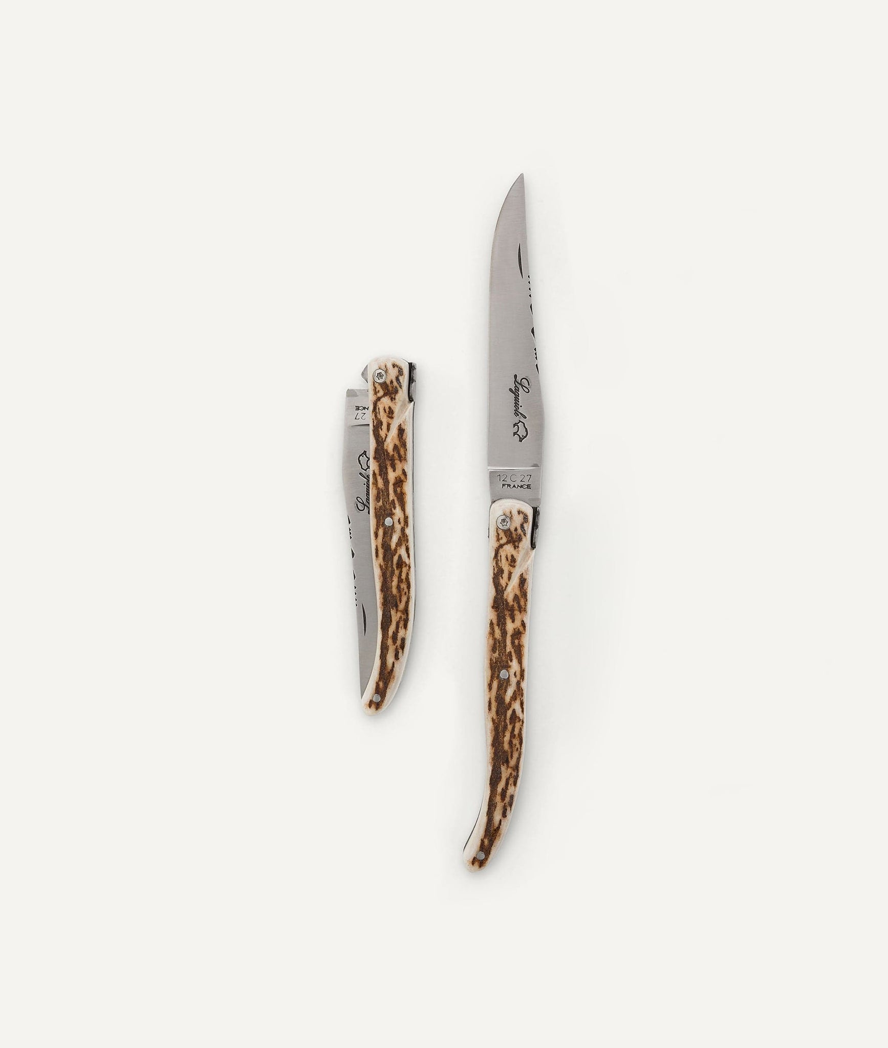 Knife with Antler Handle in Stainless Steel
