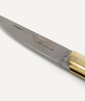 Knife with Horn Handle in Stainless Steel
