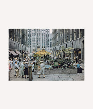 New York. Portrait of a City