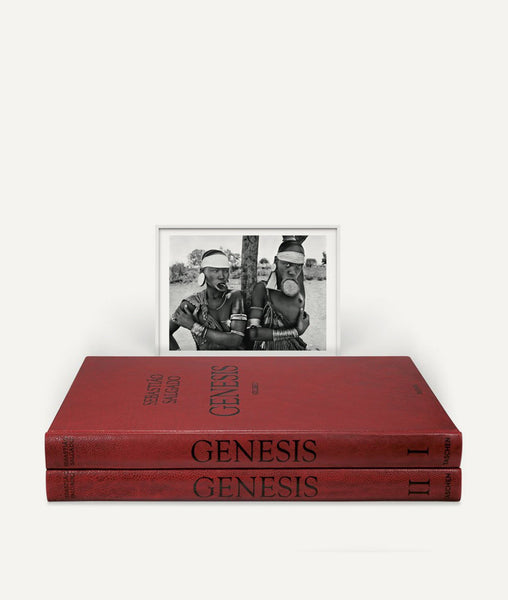 preview_su_salgado_genesis_art